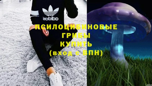 гидропоника Алексин