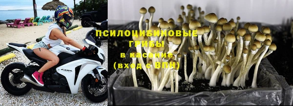 ECSTASY Алексеевка
