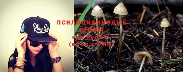 гидра Алзамай