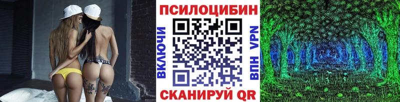 Галлюциногенные грибы Psilocybine cubensis  Ветлуга 